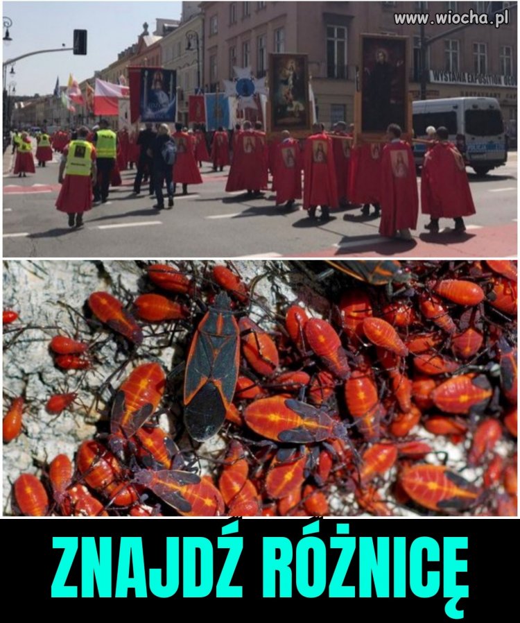 Pomóżcie mi, bo...