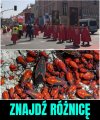 Pomóżcie mi, bo...