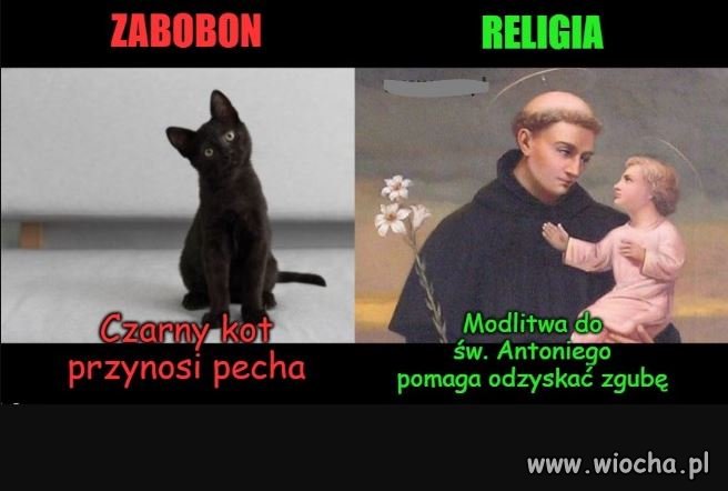 Oczywiście, możesz wierzyć w co chcesz