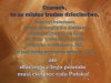 Absurdy narodowe