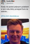 Polska na Euro