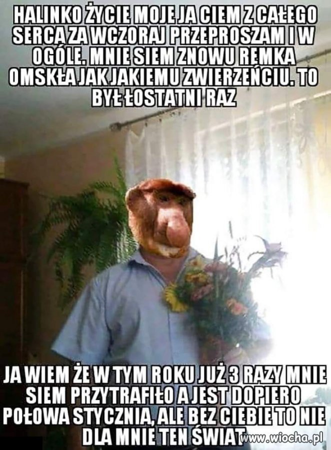 Panie nie dajcie się złapać na kwiatki