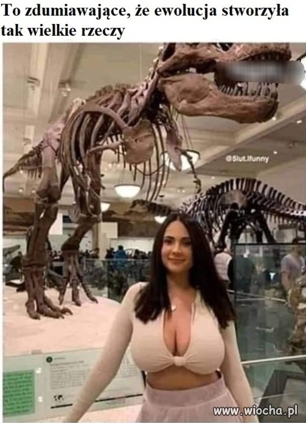 Ewolucja 