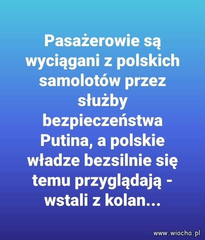 Wstali z kolan