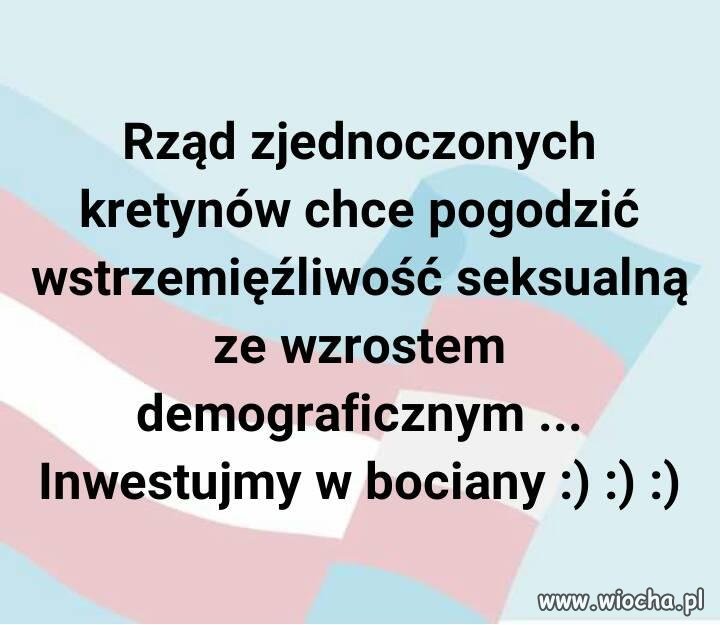 Jak te dzbany chcą to ze sobą pogodzić ?