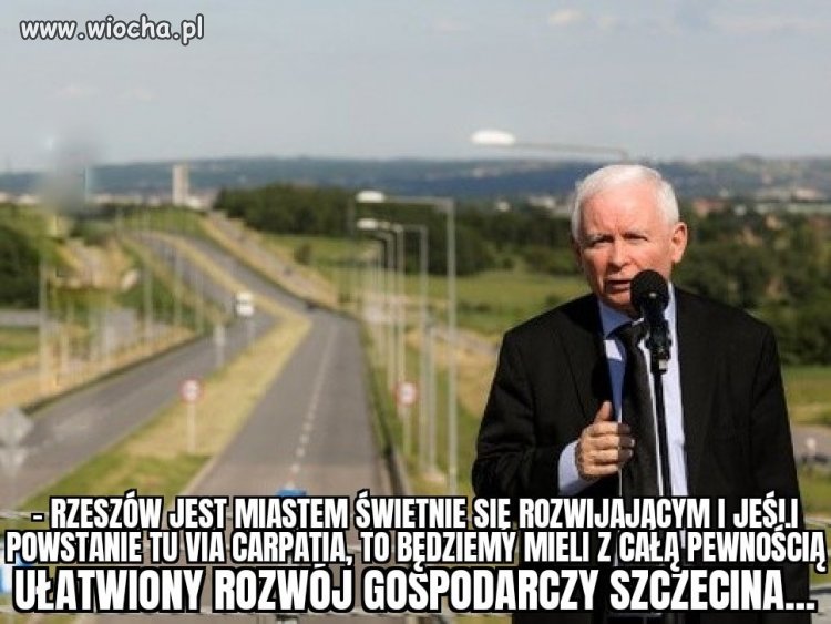Srał kot...