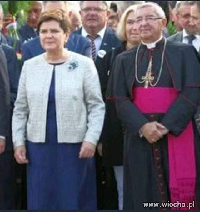 Sołtys 