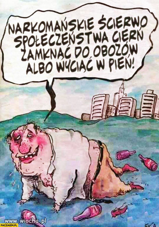 Samokrytyka typowego wyborcy pis