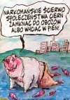 Samokrytyka typowego wyborcy pis