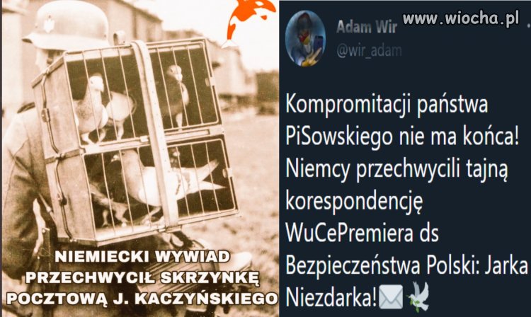 Kompromitacja państwa PiSowskiego
