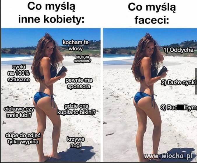 Zazdrośnice