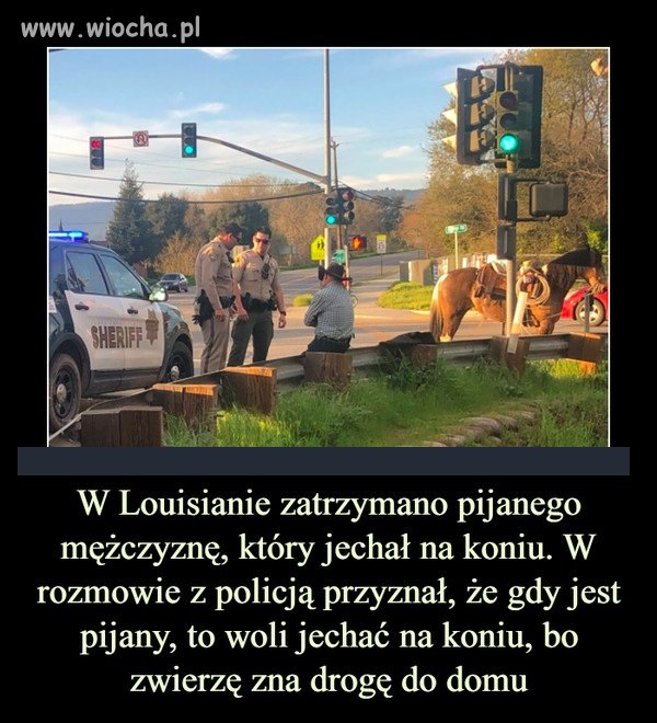 Tymczasem w USA