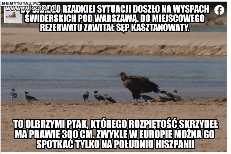 Takie tam dla tych co uważają, że...