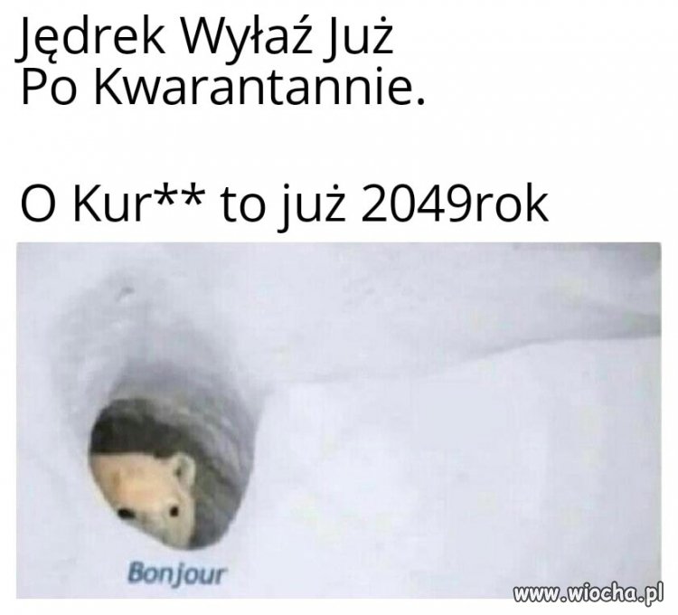 Nie ma 