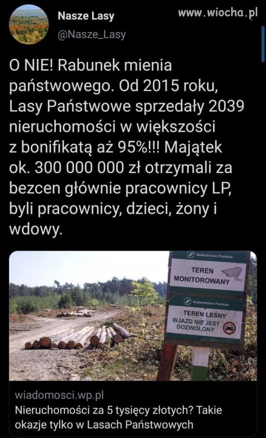 Lasy 