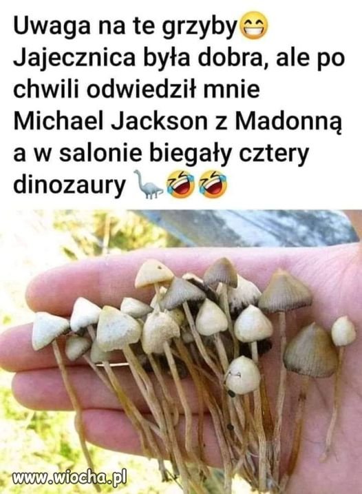 Wicemarszałek Sejmu poleca