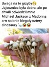 Wicemarszałek Sejmu poleca