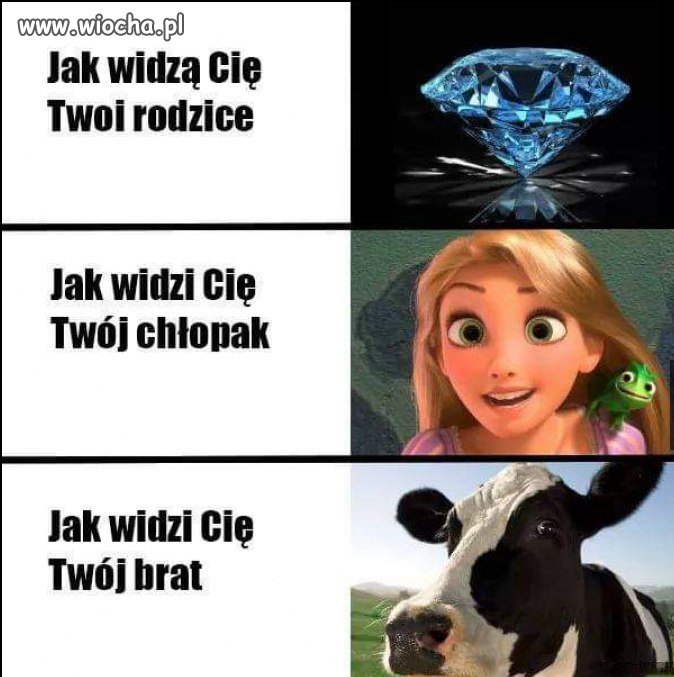 Różne punkty widzenia