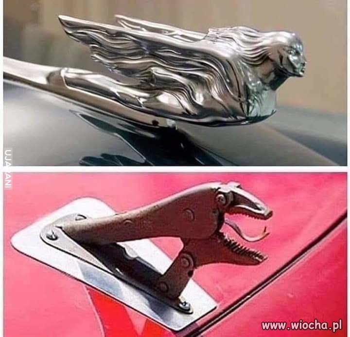  Prawie