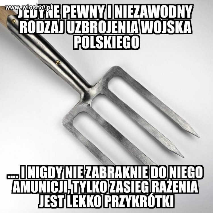 Polska armia za pisu wstaje z kolan