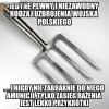 Polska armia za pisu wstaje z kolan