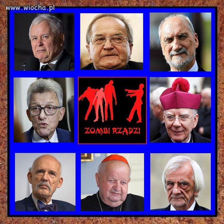 Poczet knurów polskich ...