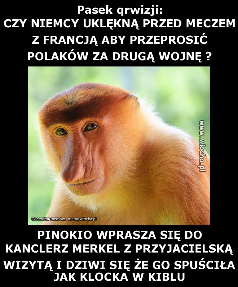 Pasek qrwizji: