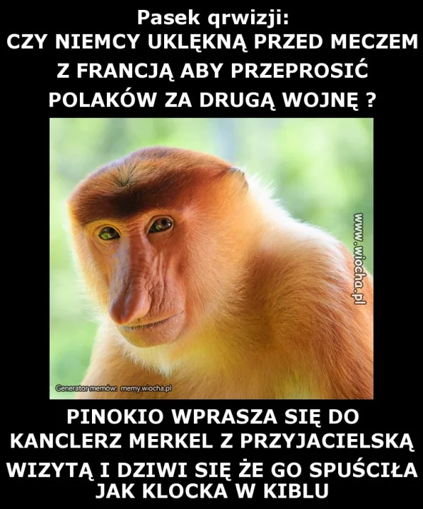 Pasek qrwizji: