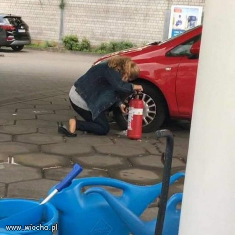 Myślałem że widziałem już wszystko .