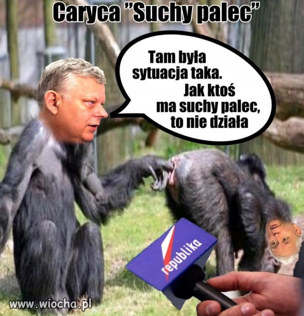 Wazelina na gwałt potrzebna.