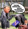 Wazelina na gwałt potrzebna.