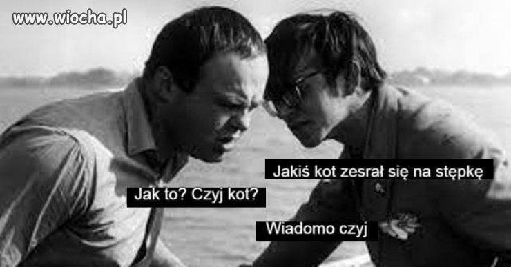 Radna PiS-srał kot ...