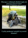 Pytanie na dziś