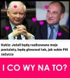 Głupi i głupszy