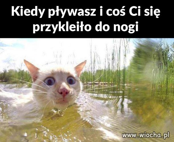 Ja też zaraz panikuję 