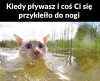 Ja też zaraz panikuję 