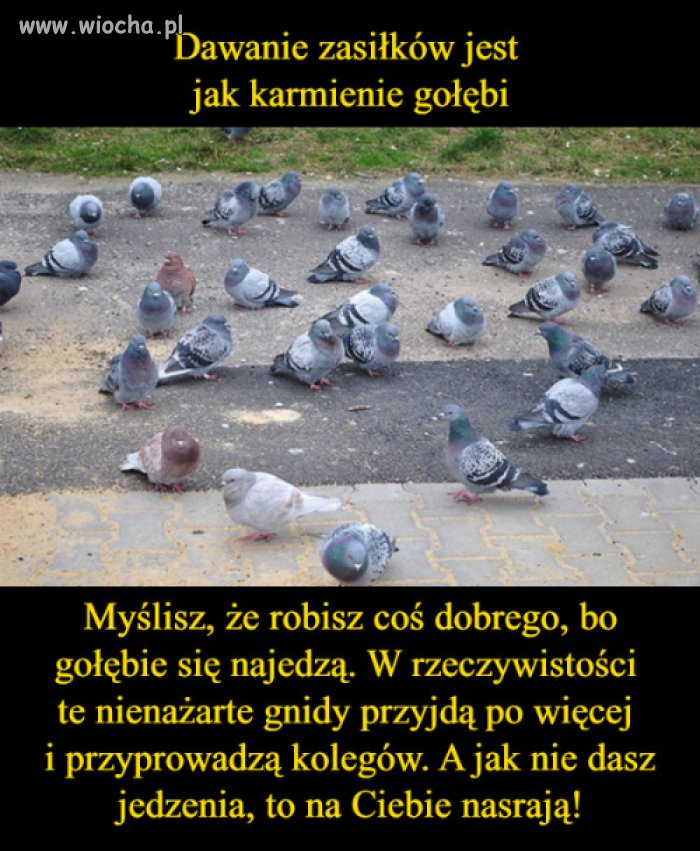 Cos w tym jest 