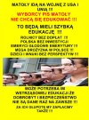 PiS wyniosły do władzy: hołota, chamy i prostacy, głupi naród 