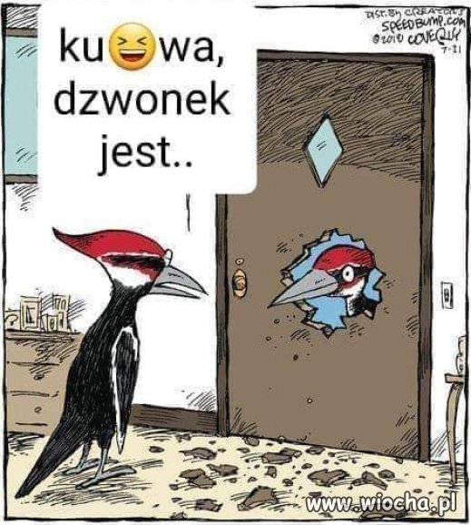Jarek! Puknij się Ty w łeb najpierw,