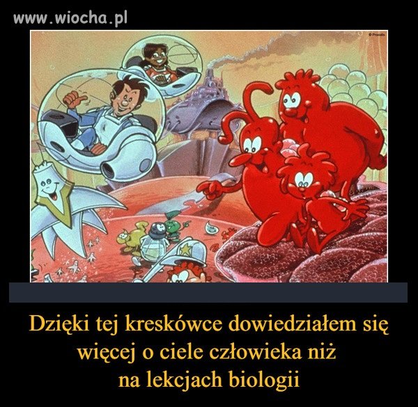 Tak było