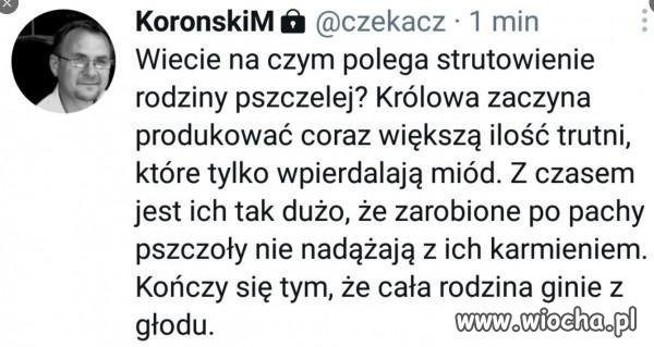 Z prawem  i sprawiedliwością