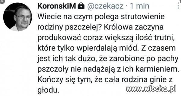 Z prawem  i sprawiedliwością