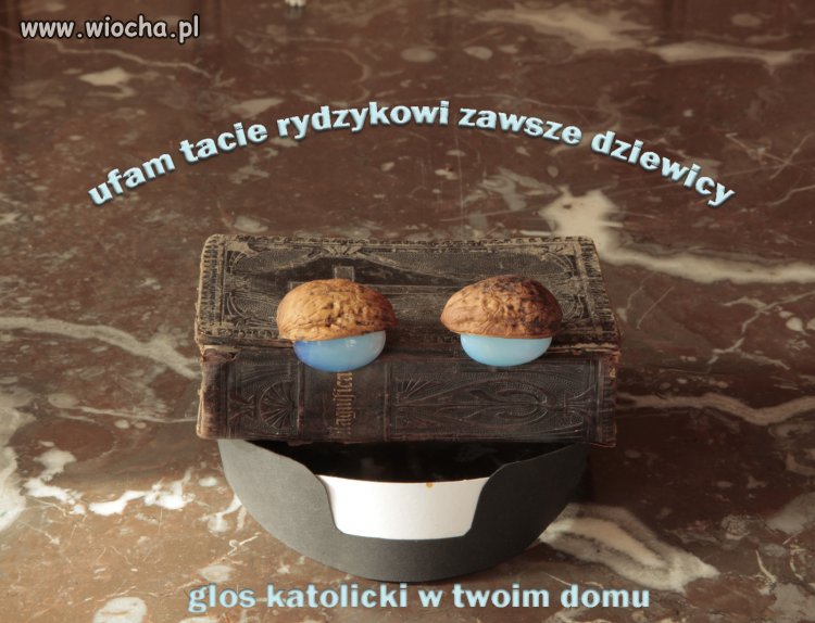 Absurdy narodowe