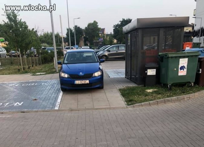 Ameba na parkingu