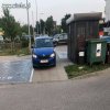 Ameba na parkingu