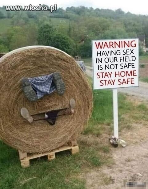 Zaczęły się żniwa
