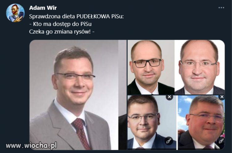 Sprawdzona dieta PUDEŁKOWA PiSu: