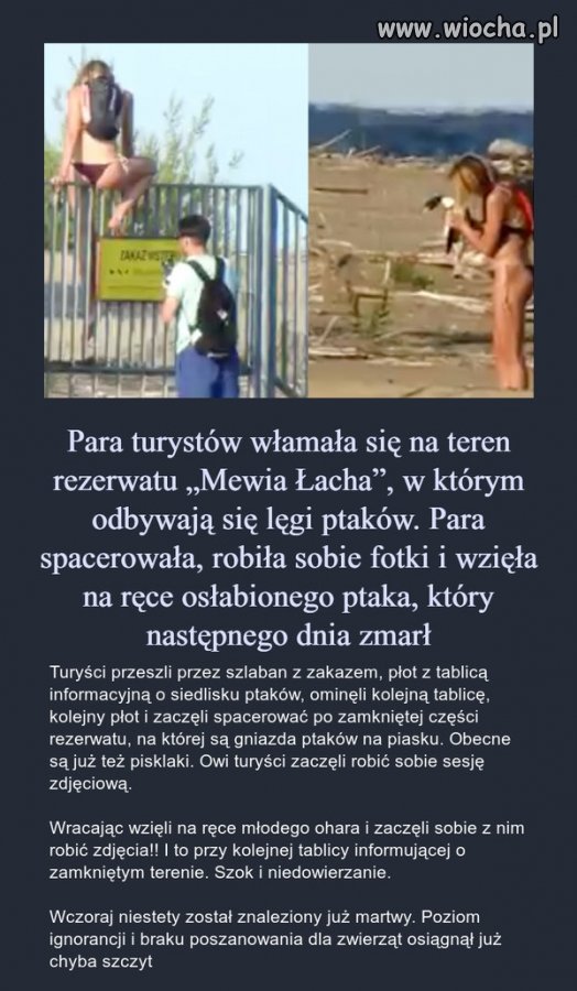 To nie jest głupota to chamstwo i buractwo 