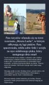 To nie jest głupota to chamstwo i buractwo 