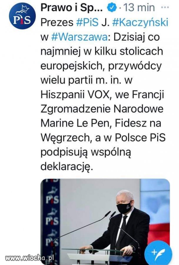 Faszyści się łączą?